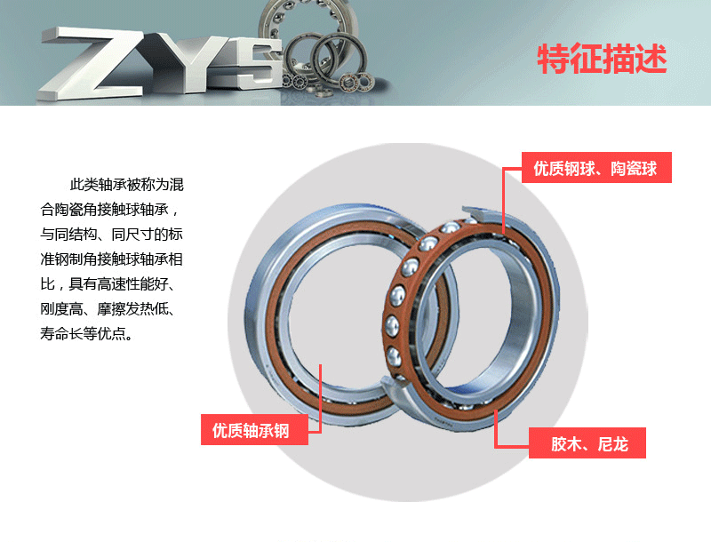 滾珠絲杠球軸承BS1747